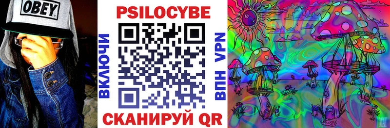 закладки  Котельники  hydra маркетплейс  Псилоцибиновые грибы Psilocybe 